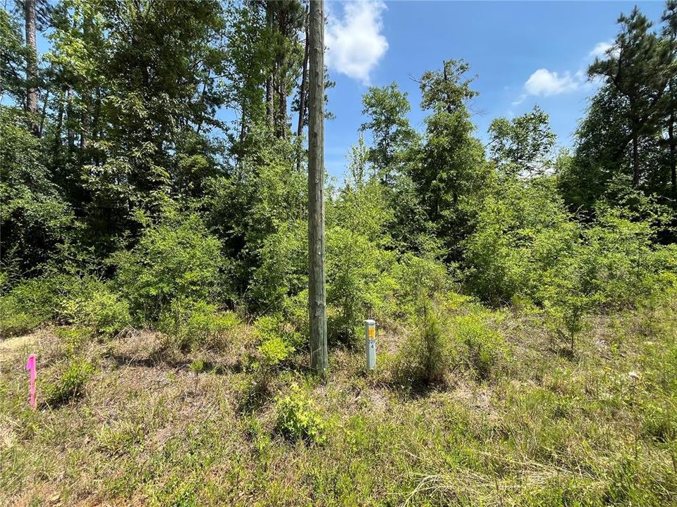 For Sale: $12,400 (1.05 acres)