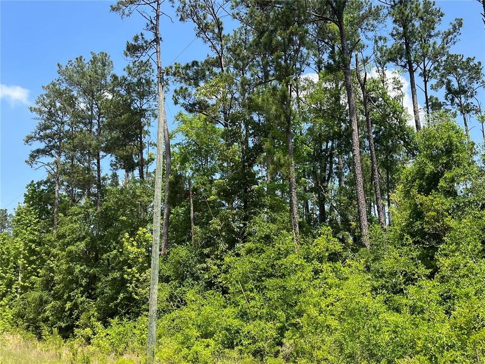 For Sale: $12,400 (1.05 acres)