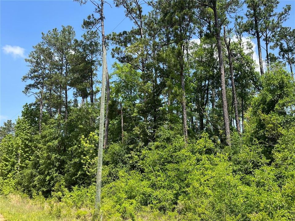 For Sale: $12,400 (1.05 acres)