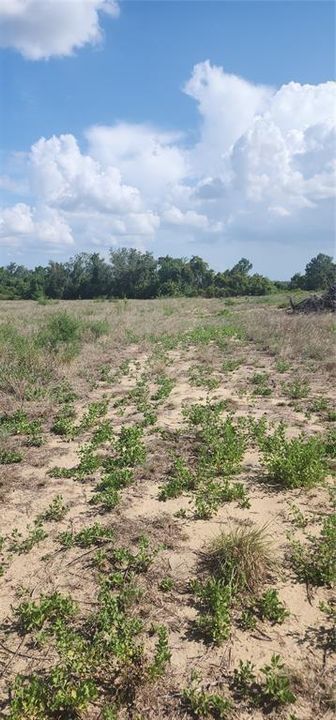 待售: $300,000 (13.42 acres)