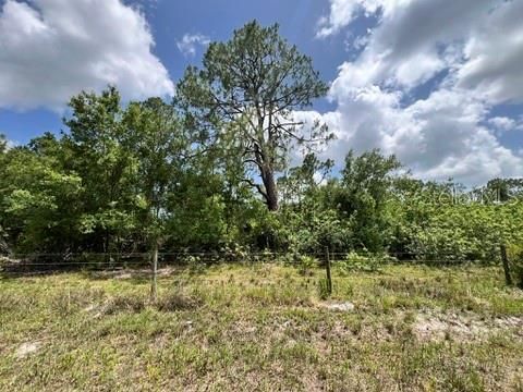 For Sale: $575,000 (20.03 acres)