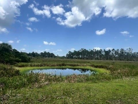 En Venta: $575,000 (20.02 acres)