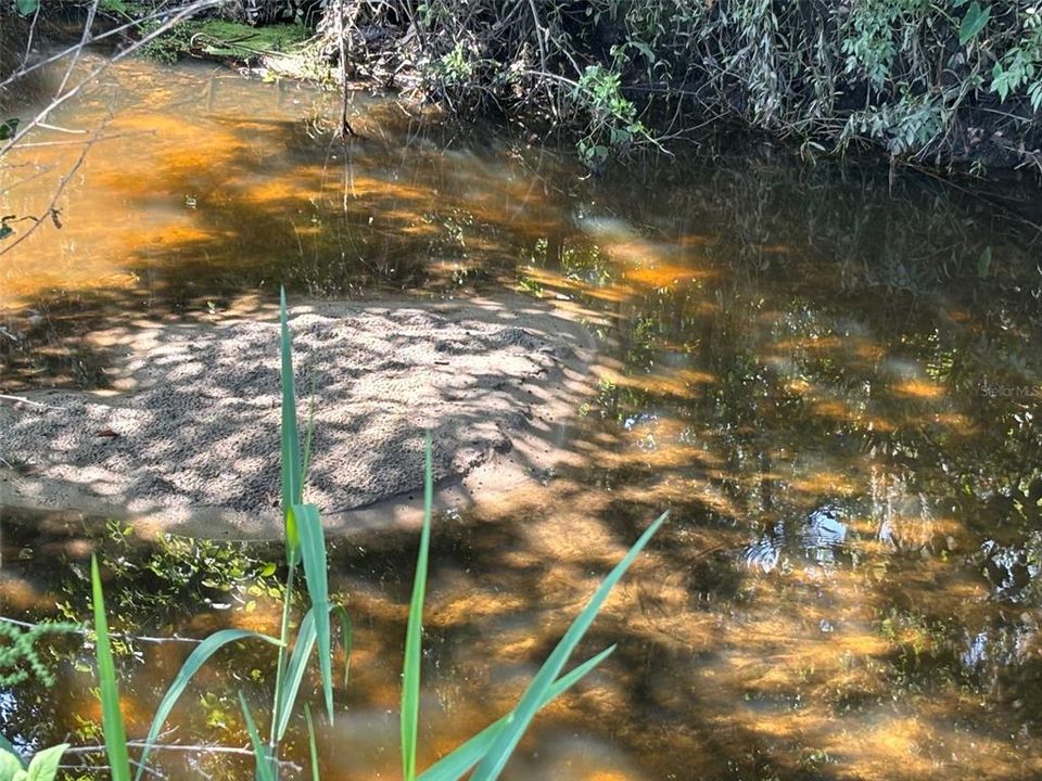 For Sale: $335,000 (3 beds, 2 baths, 2016 Square Feet)