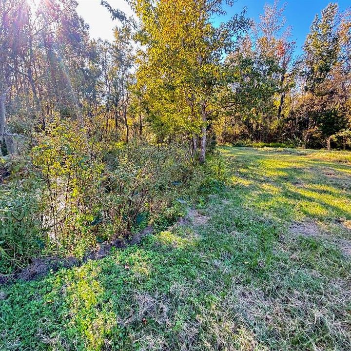 For Sale: $335,000 (3 beds, 2 baths, 2016 Square Feet)