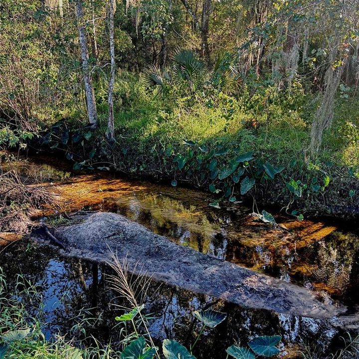 For Sale: $335,000 (3 beds, 2 baths, 2016 Square Feet)