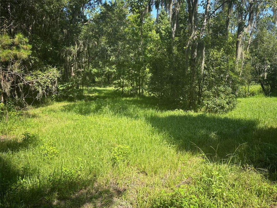 For Sale: $335,000 (3 beds, 2 baths, 2016 Square Feet)