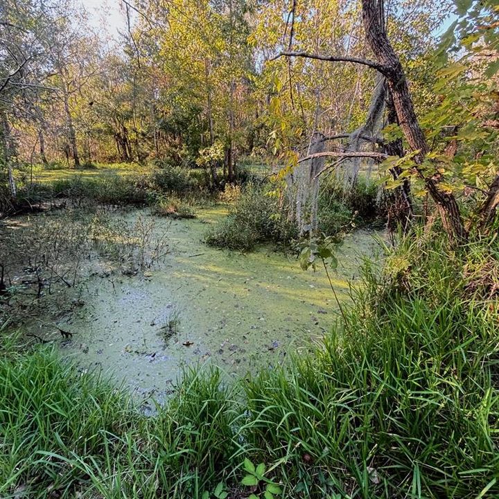 For Sale: $335,000 (3 beds, 2 baths, 2016 Square Feet)