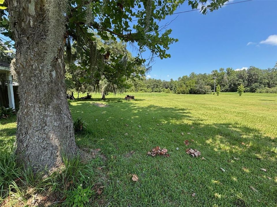 For Sale: $335,000 (3 beds, 2 baths, 2016 Square Feet)