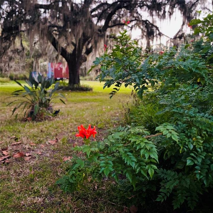 For Sale: $335,000 (3 beds, 2 baths, 2016 Square Feet)