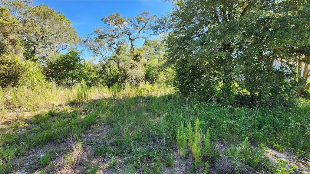 На продажу: $49,900 (0.30 acres)