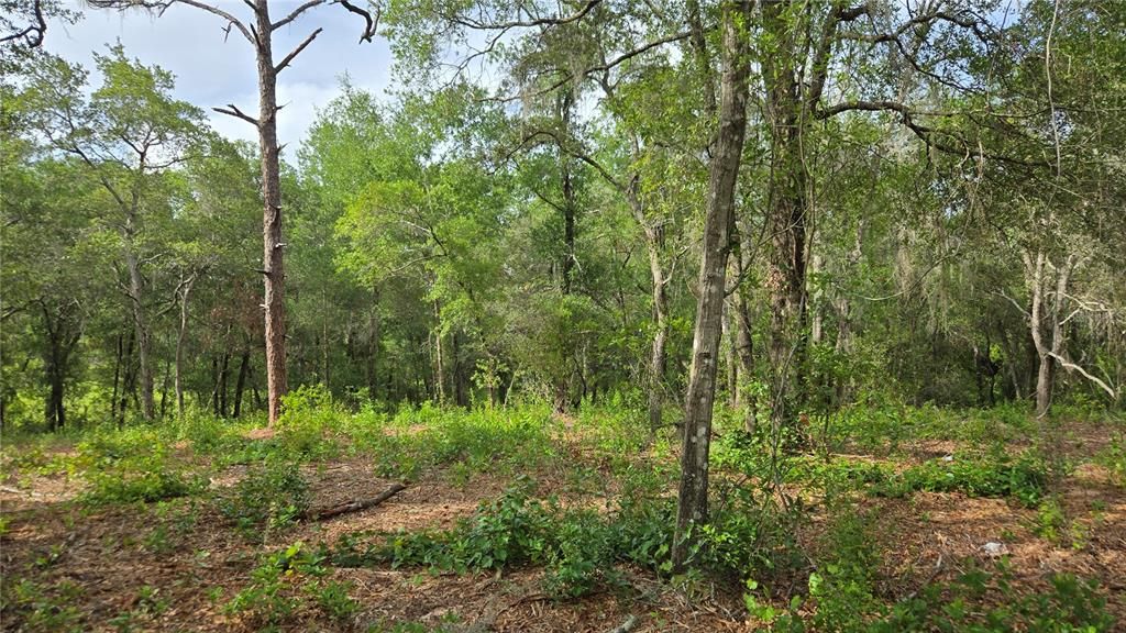 待售: $55,000 (1.00 acres)