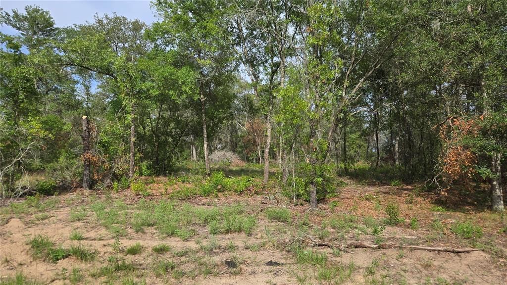 待售: $55,000 (1.00 acres)