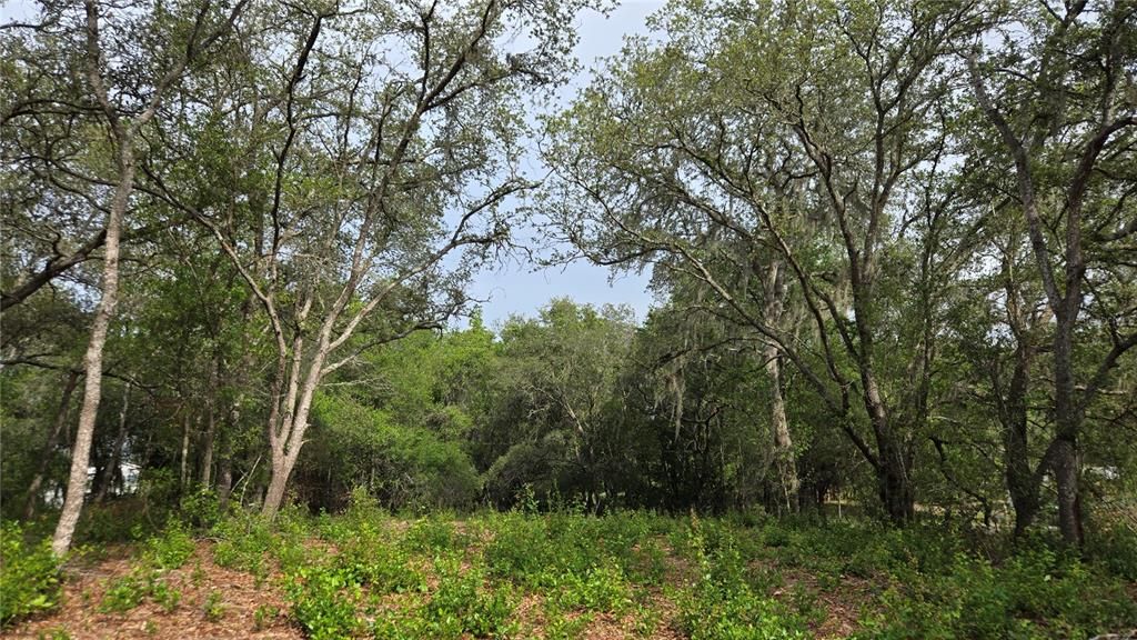 待售: $55,000 (1.00 acres)