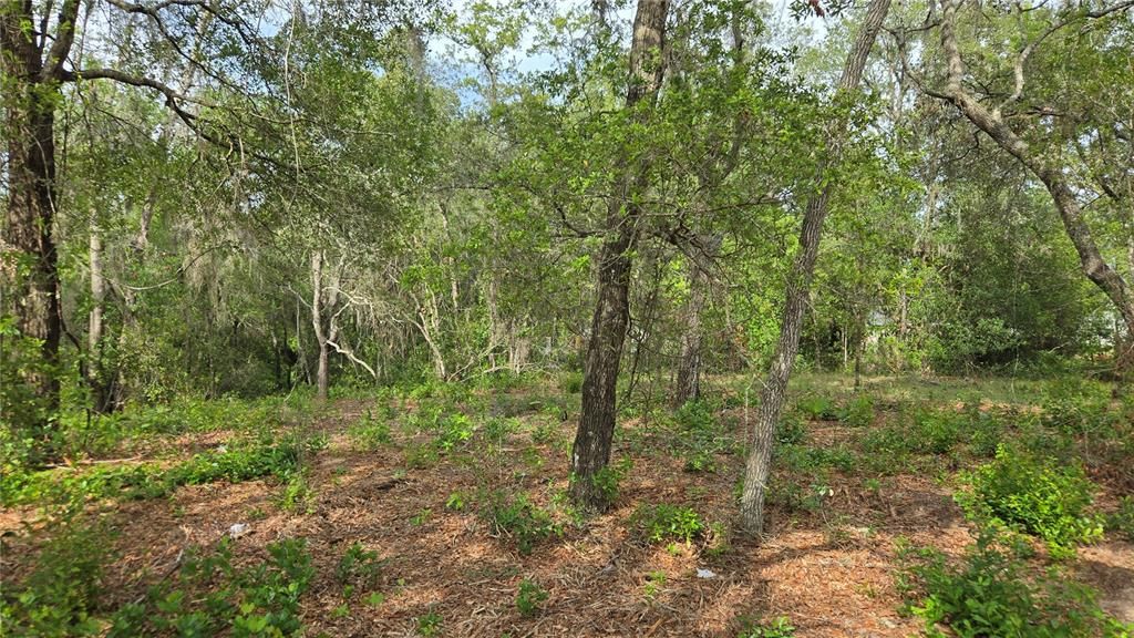 待售: $55,000 (1.00 acres)