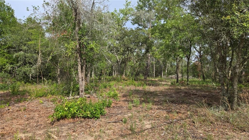 待售: $55,000 (1.00 acres)