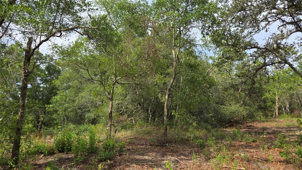 待售: $55,000 (1.00 acres)