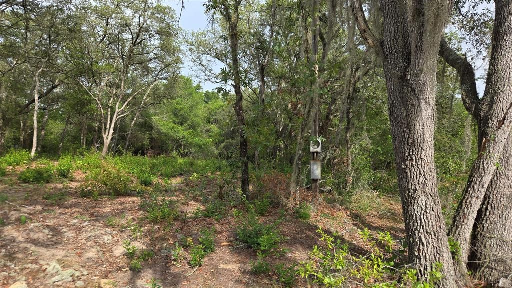 待售: $55,000 (1.00 acres)