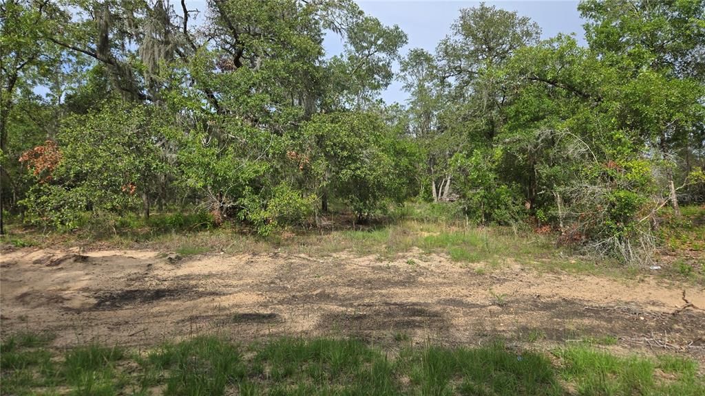 待售: $55,000 (1.00 acres)