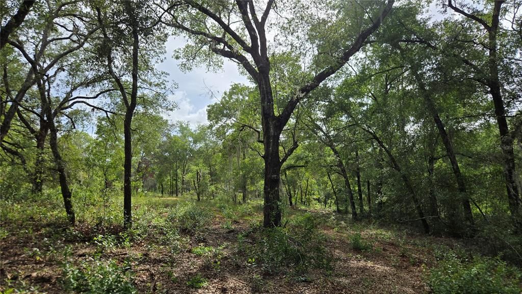 待售: $55,000 (1.00 acres)