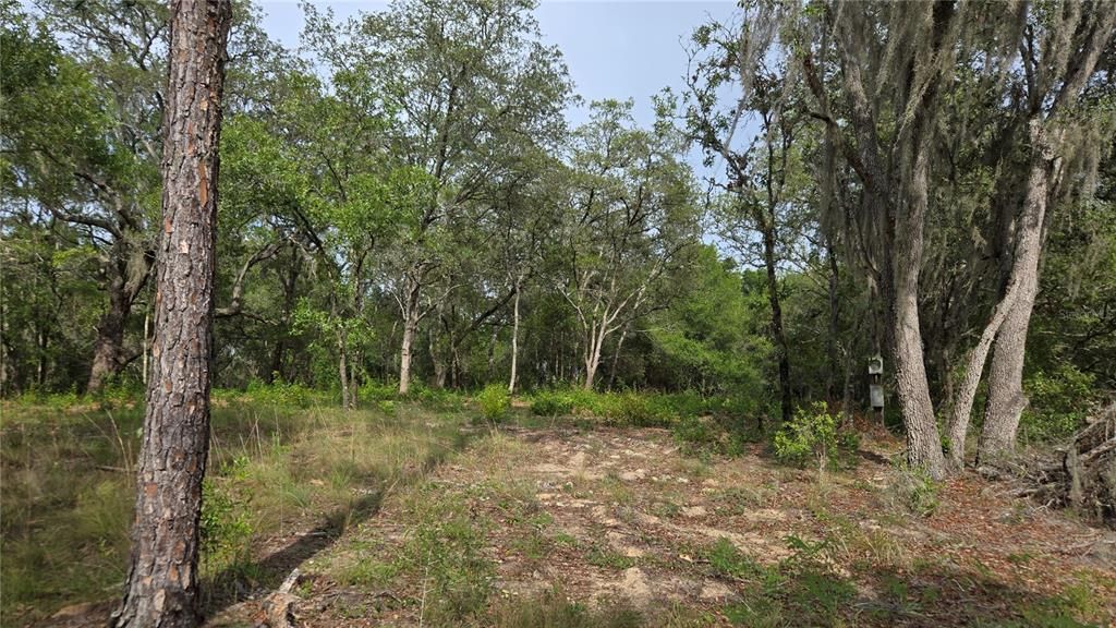 待售: $55,000 (1.00 acres)