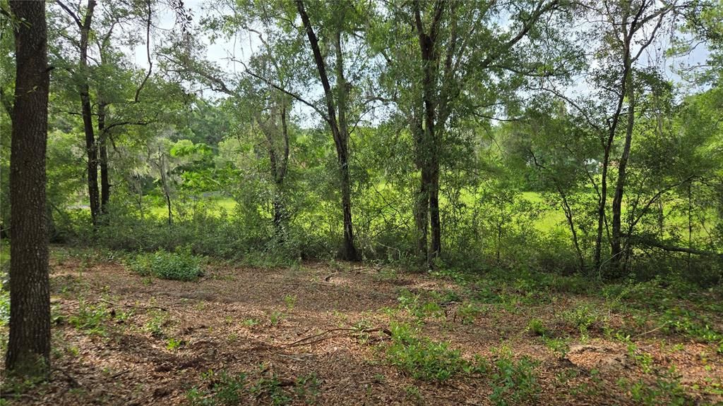 待售: $55,000 (1.00 acres)