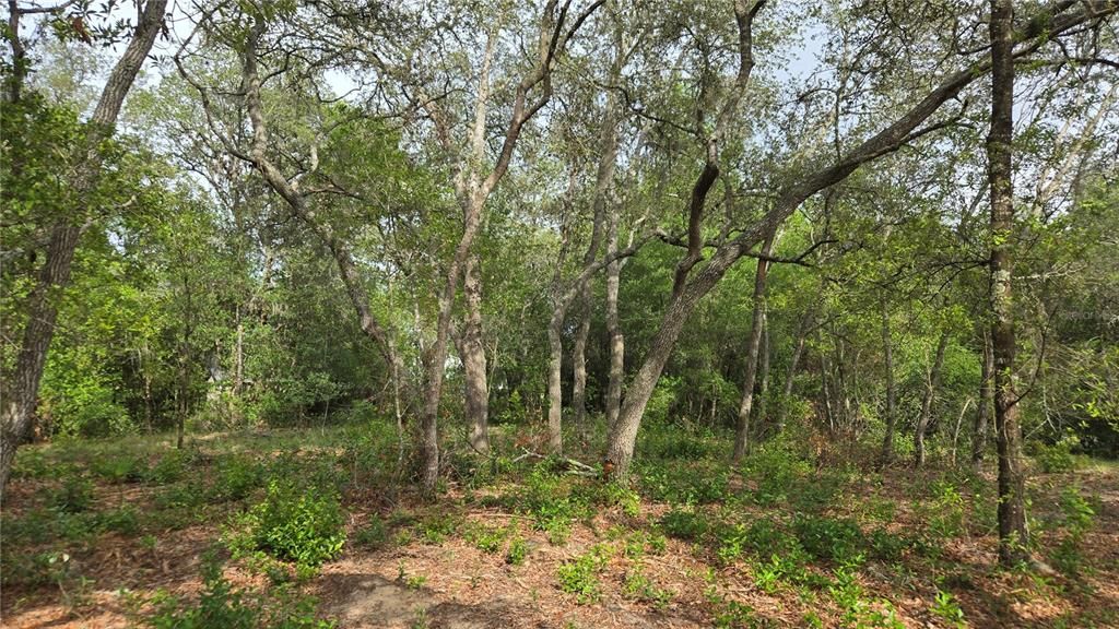 待售: $55,000 (1.00 acres)