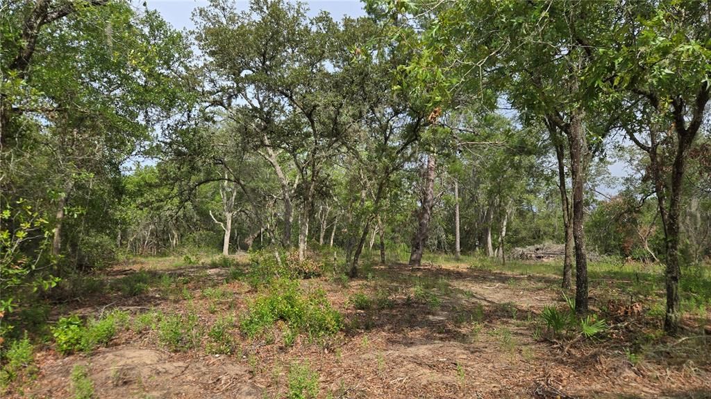 待售: $55,000 (1.00 acres)