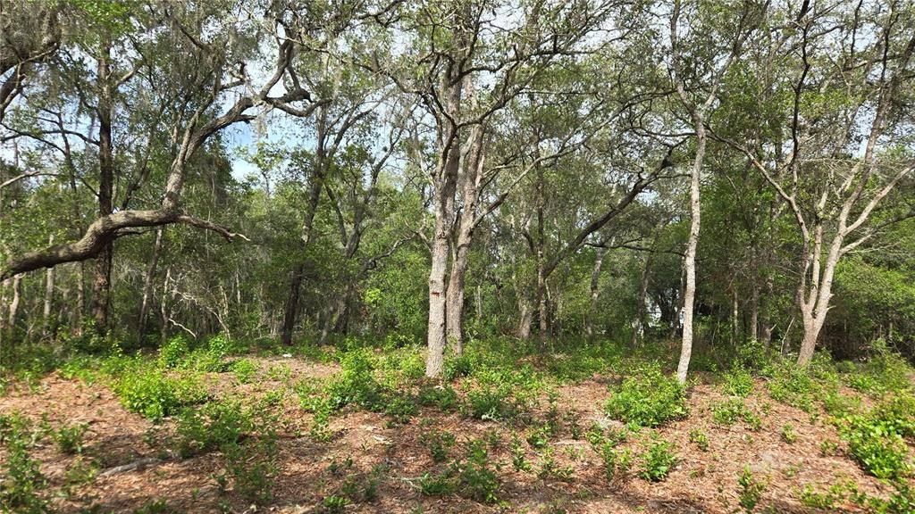 待售: $55,000 (1.00 acres)