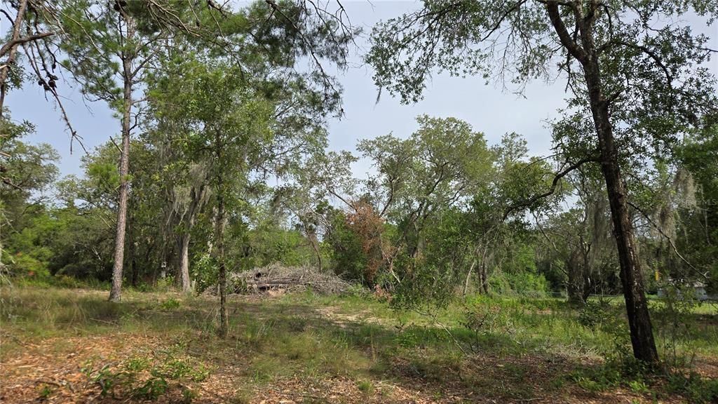 待售: $55,000 (1.00 acres)