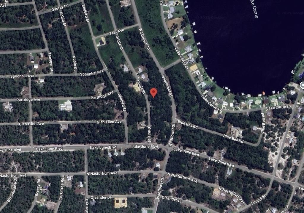 En Venta: $39,900 (0.72 acres)