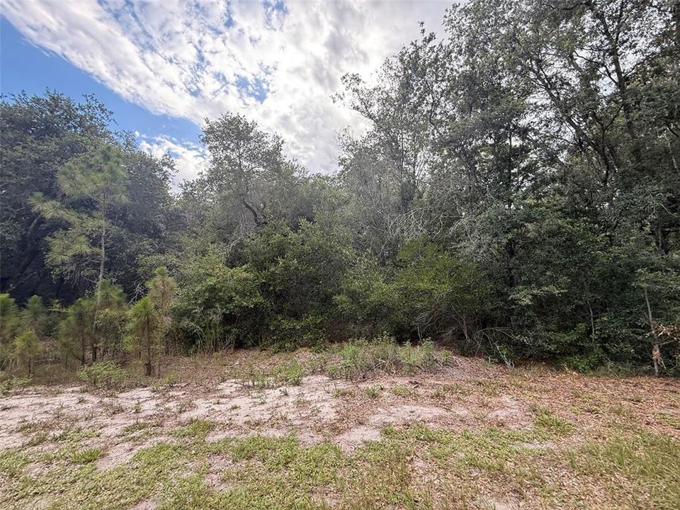 En Venta: $39,900 (0.72 acres)