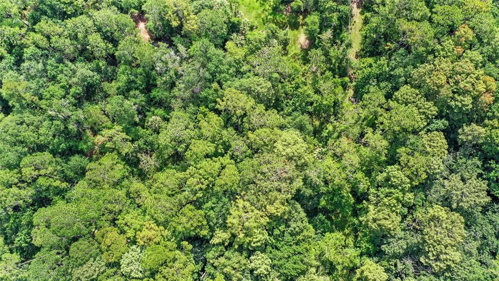 待售: $119,000 (6.38 acres)