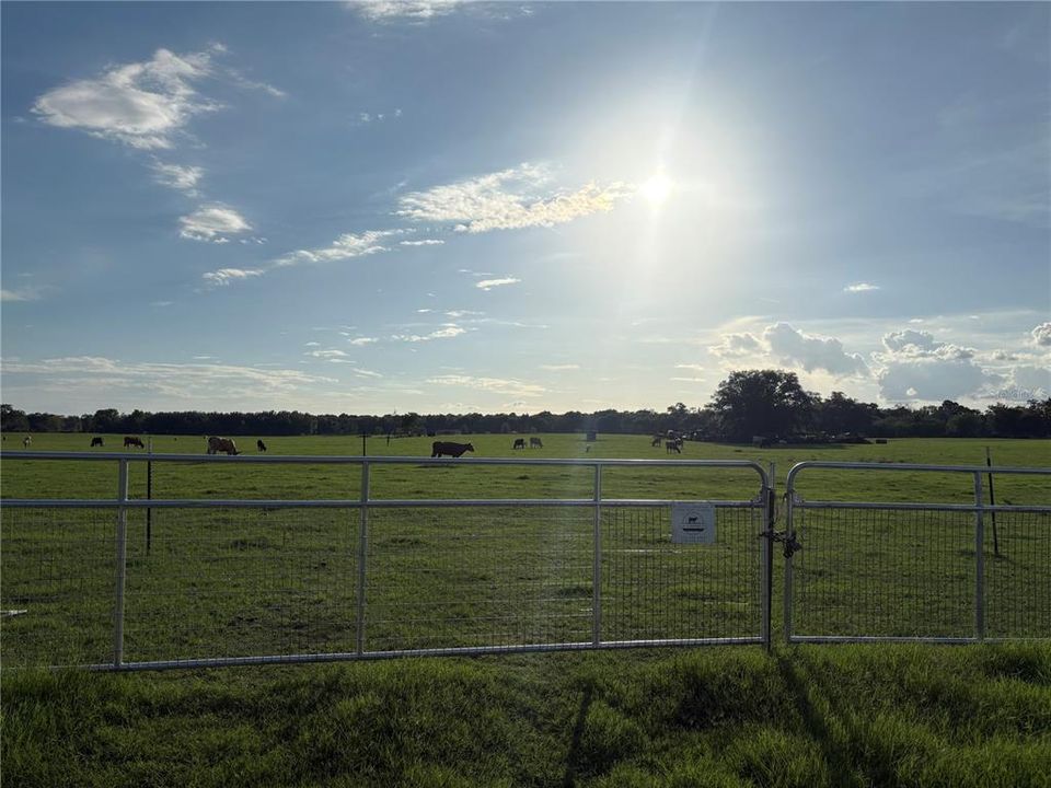 For Sale: $3,230,000 (60.00 acres)