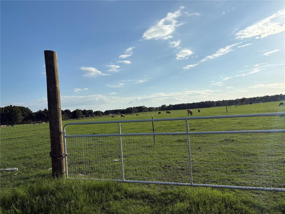 For Sale: $3,230,000 (60.00 acres)