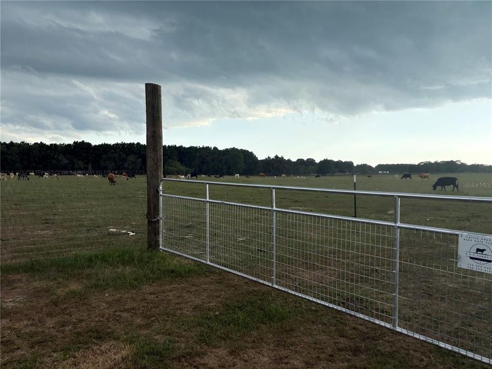 For Sale: $3,230,000 (60.00 acres)