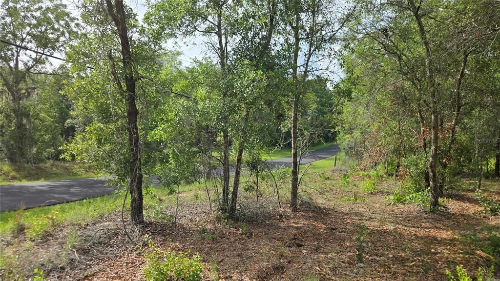 待售: $55,000 (1.17 acres)