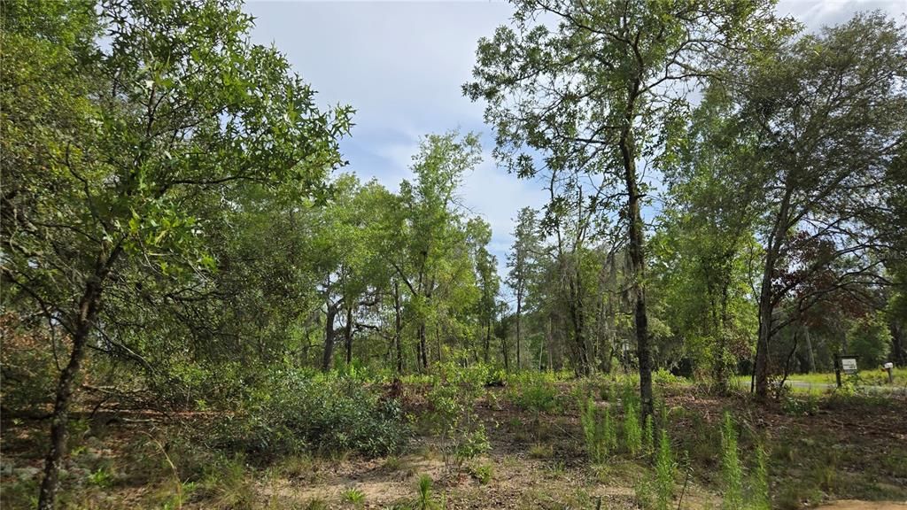 待售: $55,000 (1.17 acres)