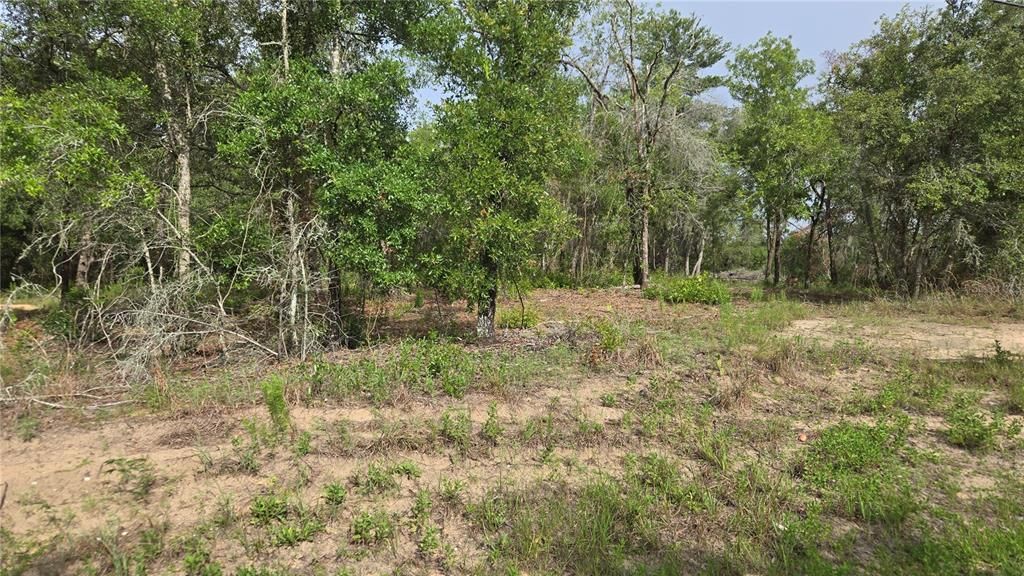 待售: $55,000 (1.17 acres)