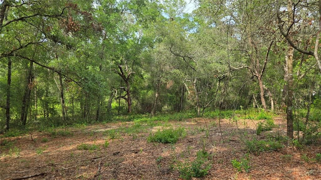 待售: $55,000 (1.17 acres)