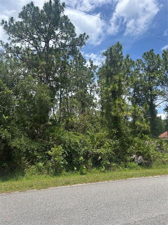 For Sale: $130,000 (1.24 acres)