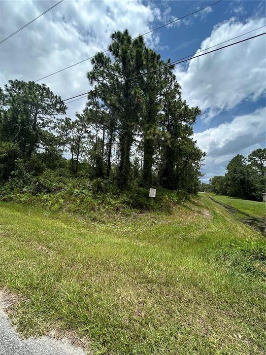 For Sale: $130,000 (1.24 acres)