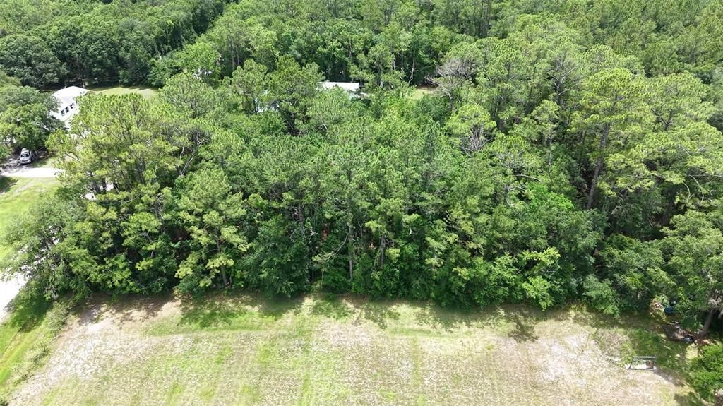 На продажу: $45,000 (1.14 acres)