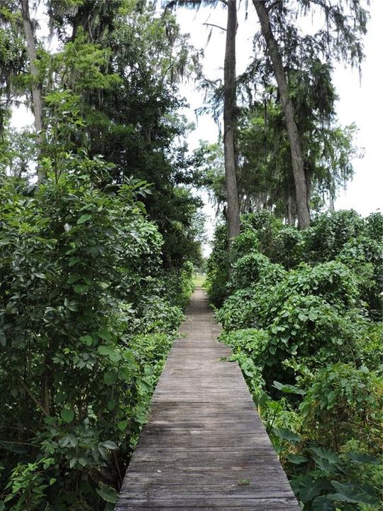 最近售出: $400,000 (3.99 acres)