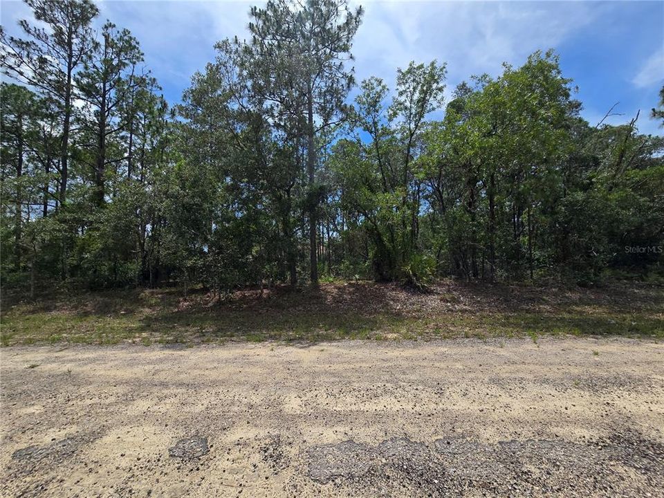 待售: $16,500 (0.22 acres)