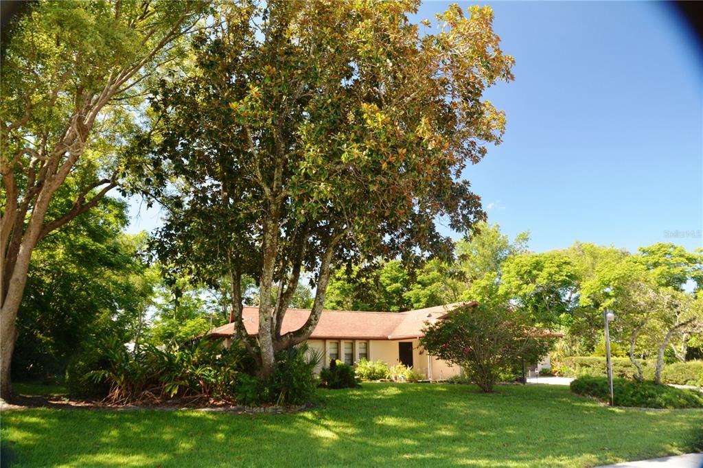 Недавно продано: $279,900 (3 спален, 2 ванн, 1713 Квадратных фут)