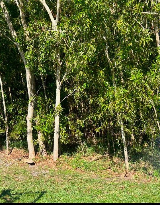 For Sale: $175,900 (0.21 acres)