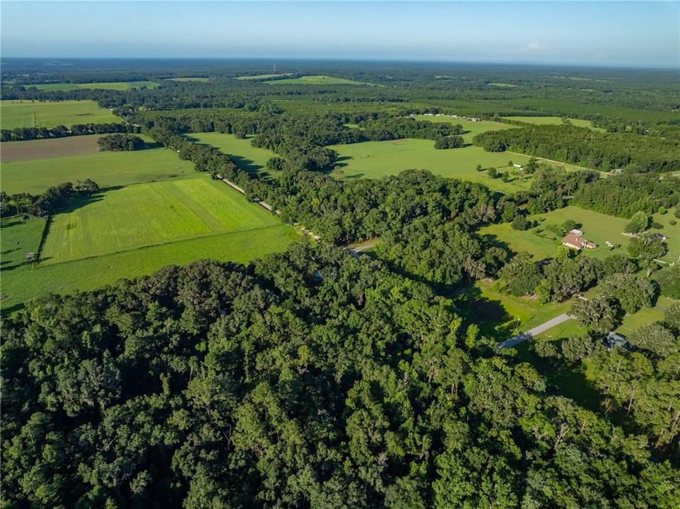 Под контрактом: $179,000 (3 спален, 2 ванн, 1701 Квадратных фут)