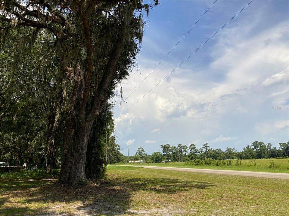 Под контрактом: $179,000 (3 спален, 2 ванн, 1701 Квадратных фут)