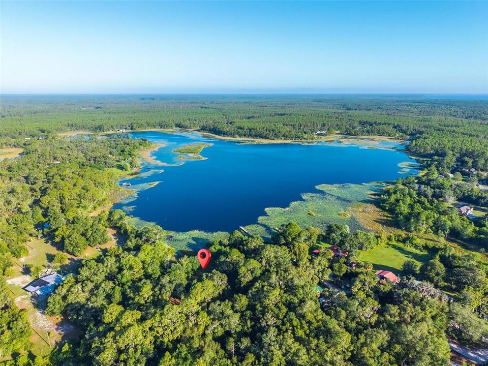 待售: $225,000 (2 贝兹, 1 浴室, 908 平方英尺)