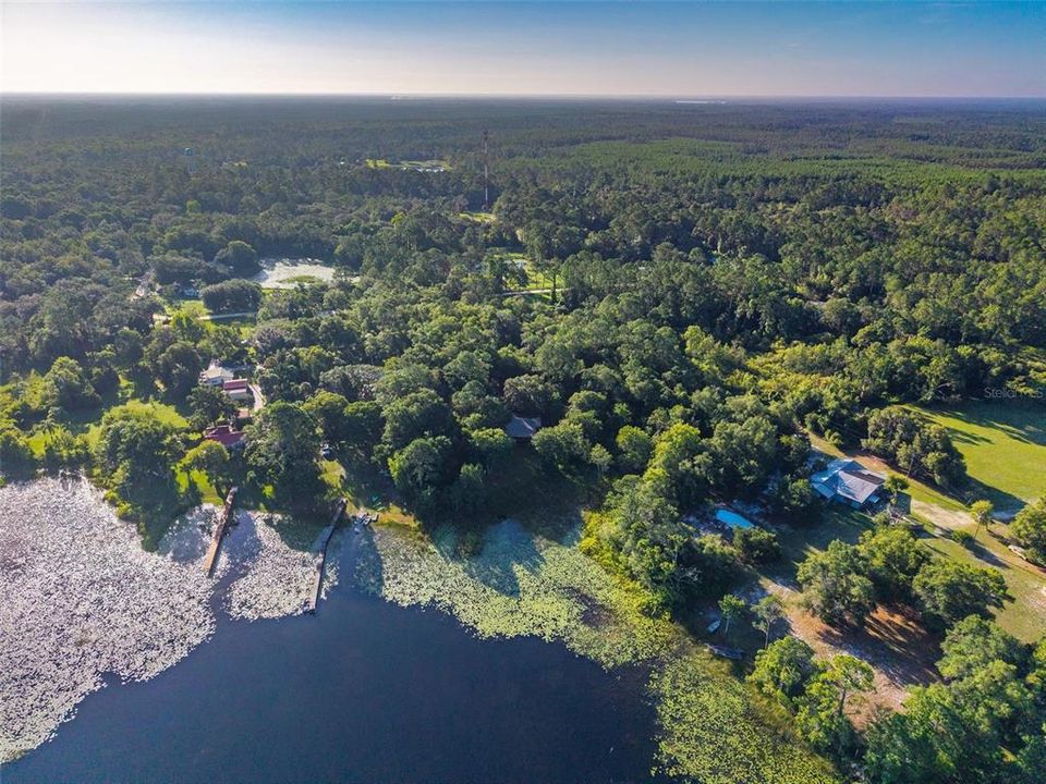 待售: $225,000 (2 贝兹, 1 浴室, 908 平方英尺)